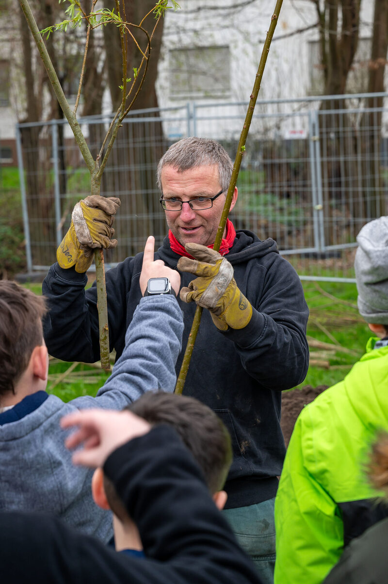 Umgestaltung Park Schönfeld-Ost: Schulkinder bauen Weidentipis